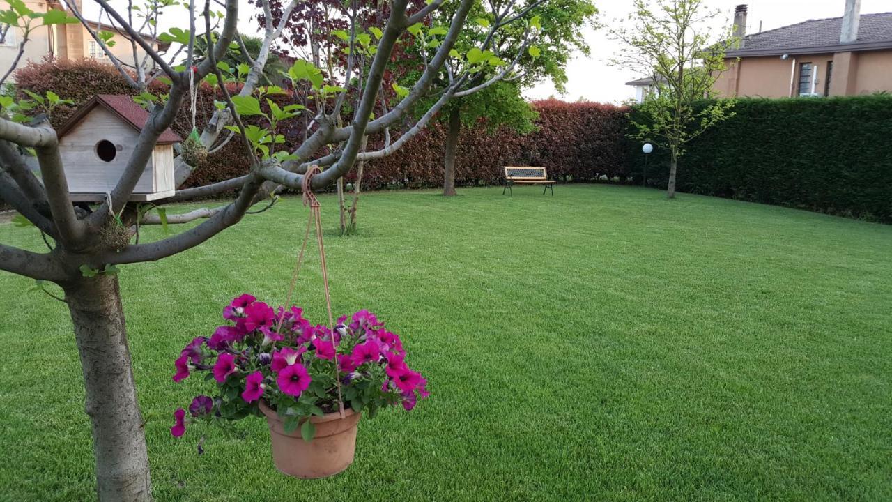 Il Farfasole Bed & Breakfast Vigonovo  Eksteriør bilde