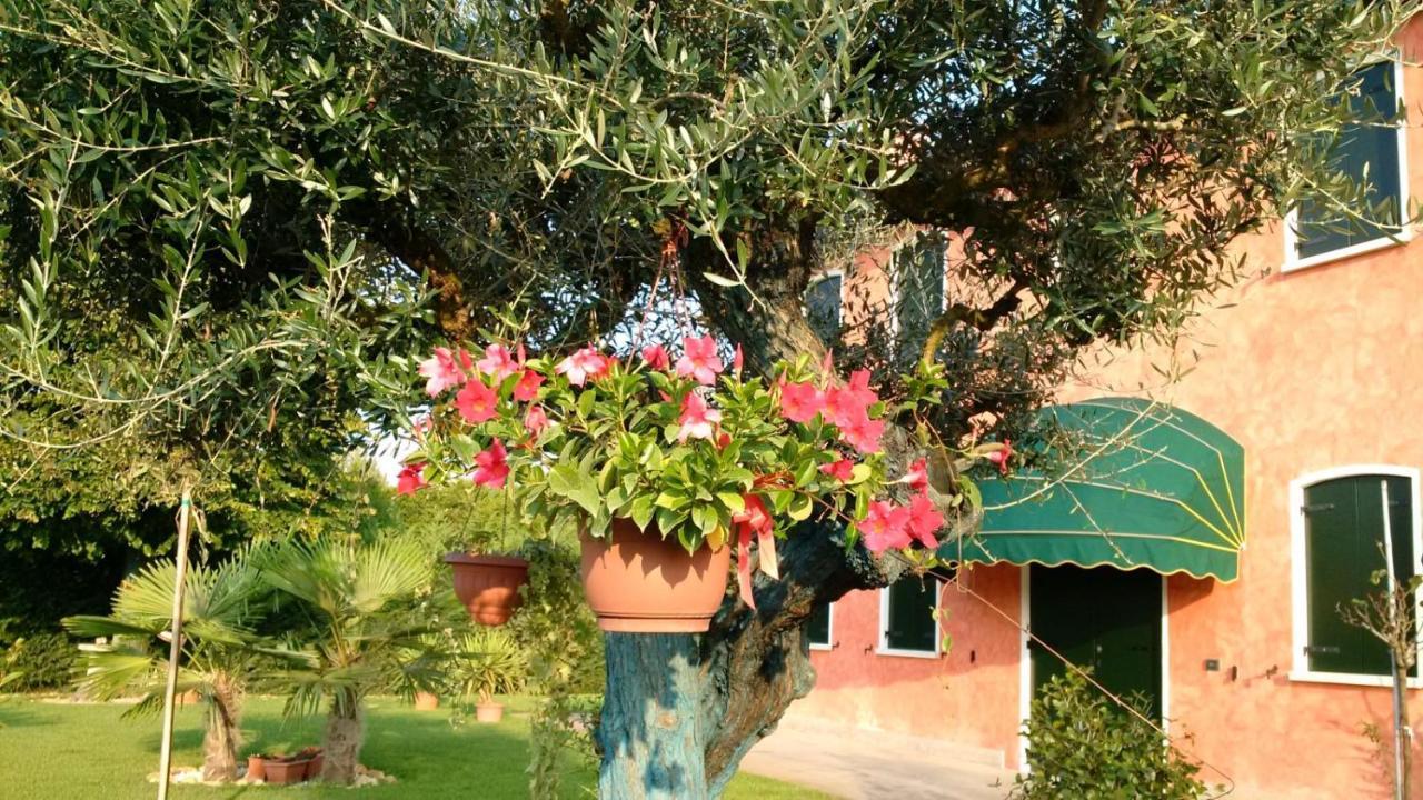 Il Farfasole Bed & Breakfast Vigonovo  Eksteriør bilde