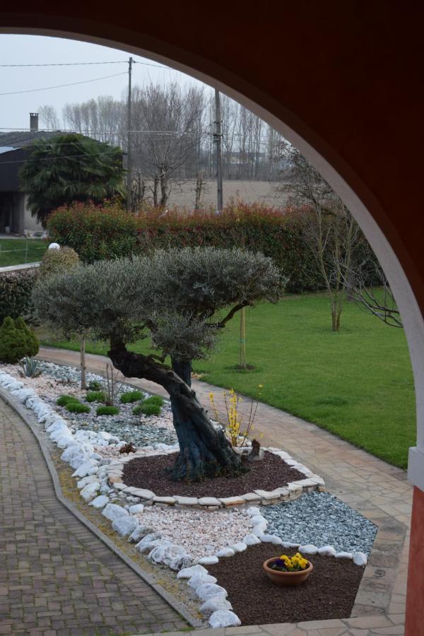 Il Farfasole Bed & Breakfast Vigonovo  Eksteriør bilde